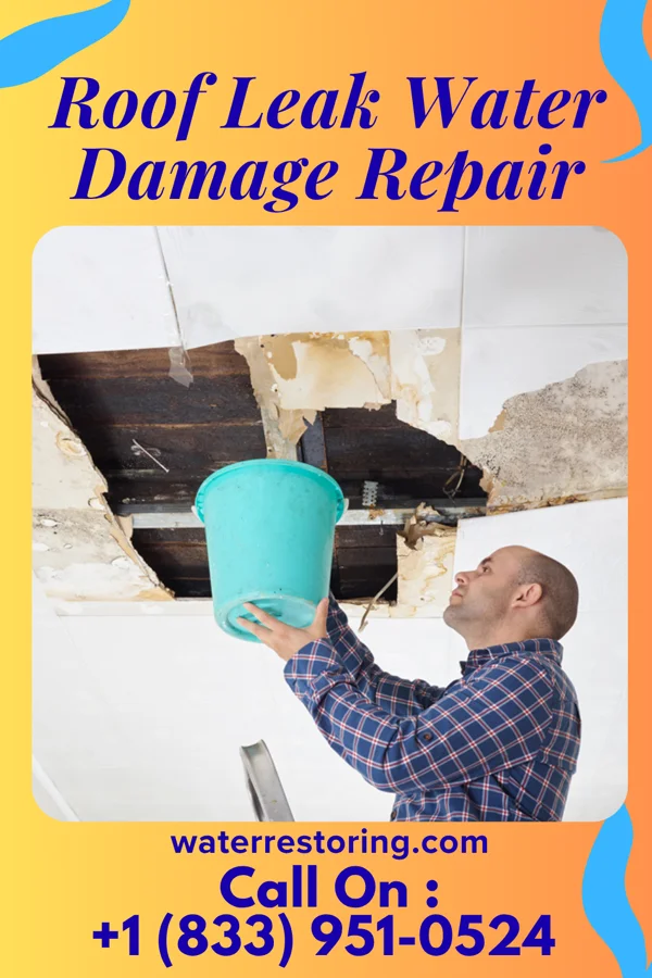 Roof Leak Water Damage Repair in Swanton, NE